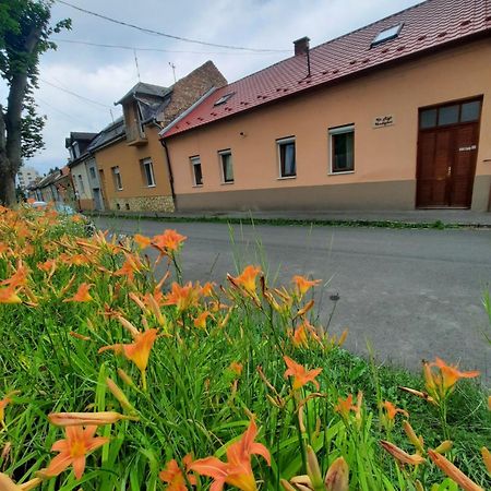 Kis Rigó vendégház Salgótarján Extérieur photo