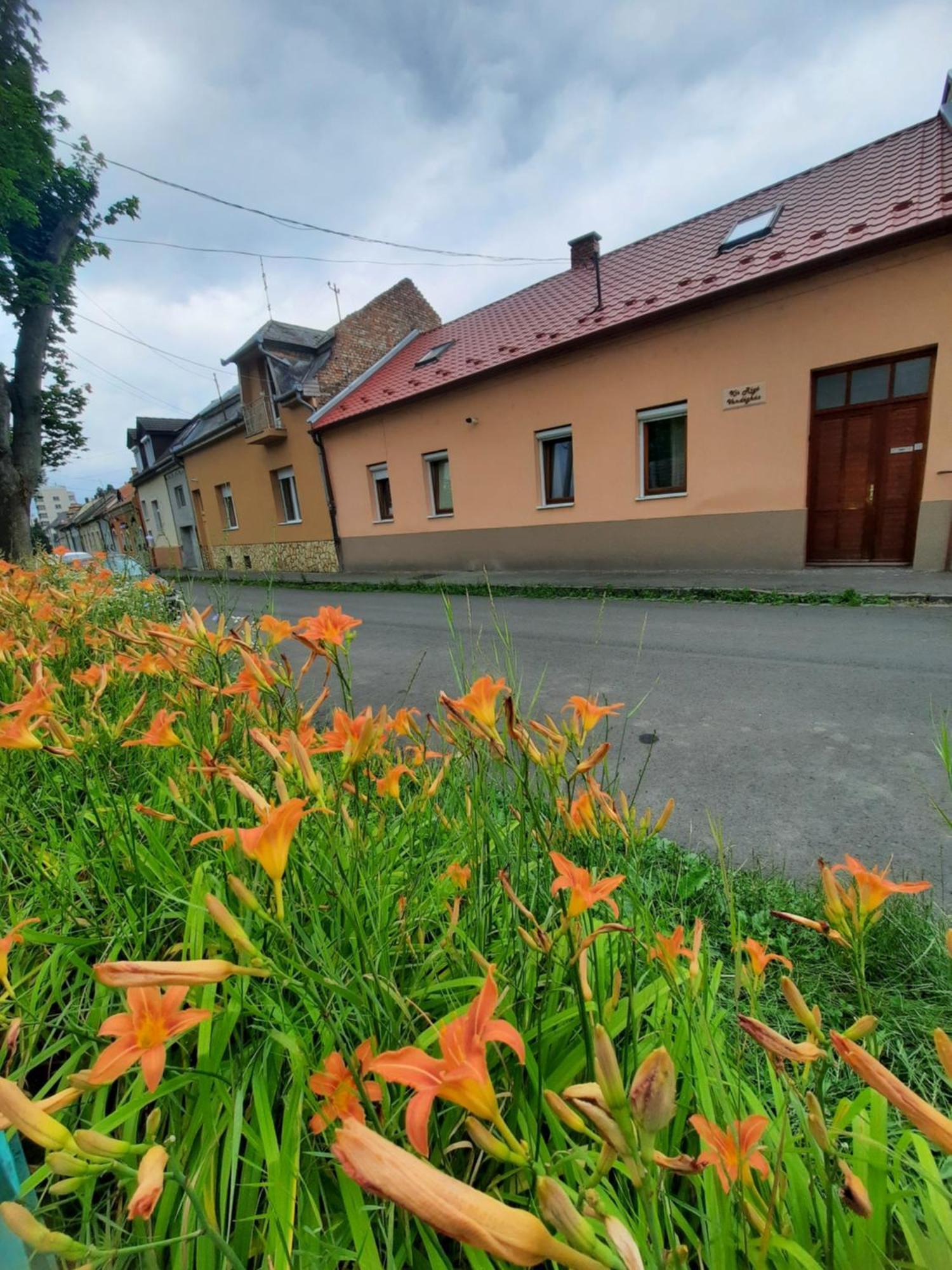 Kis Rigó vendégház Salgótarján Extérieur photo